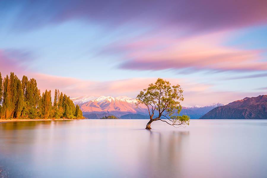 Take a sunrise stroll around Lake Wanaka | Travel Nation