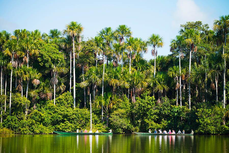 Explore the Amazon by riverboat from Hacienda Concepcion | Photo credit: Inkaterra