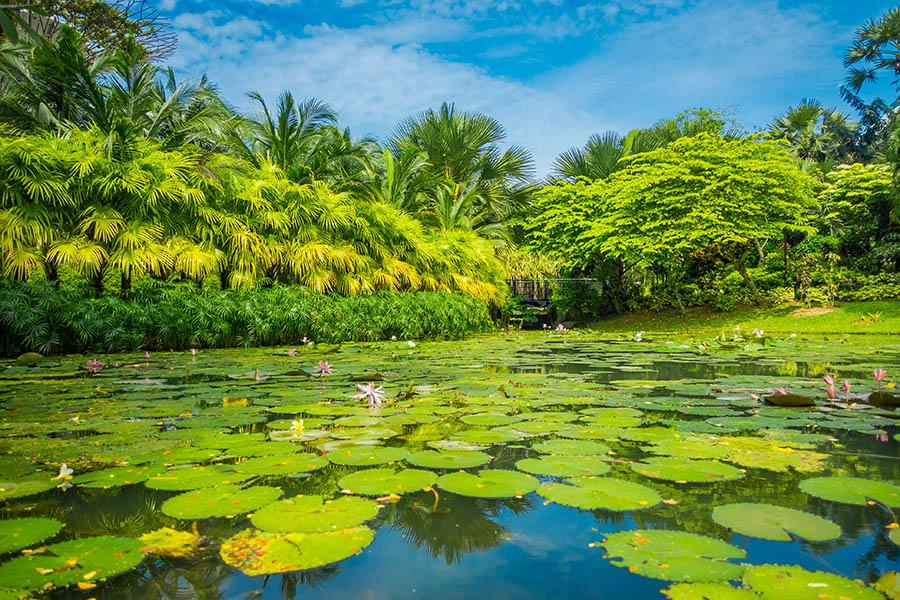Wander through the Gardens by the Bay, Singapore | Travel Nation