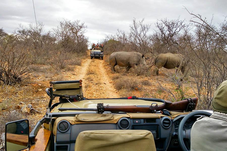 Look out for rhino crossing the dirt road in front of you