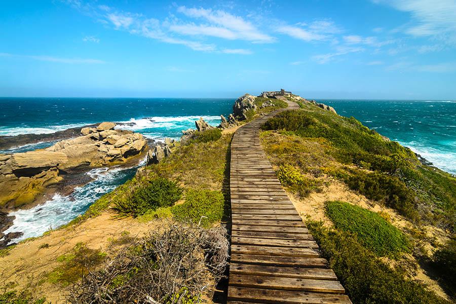 Explore the Robberg Nature Reserve near Plettenberg Bay | Travel Nation