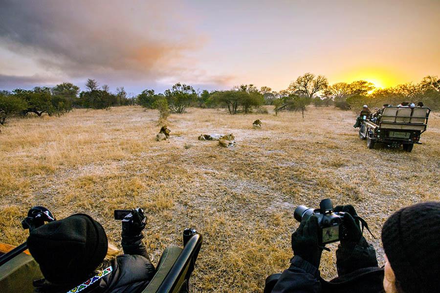 Game drives take place each morning and evening in open vehicles