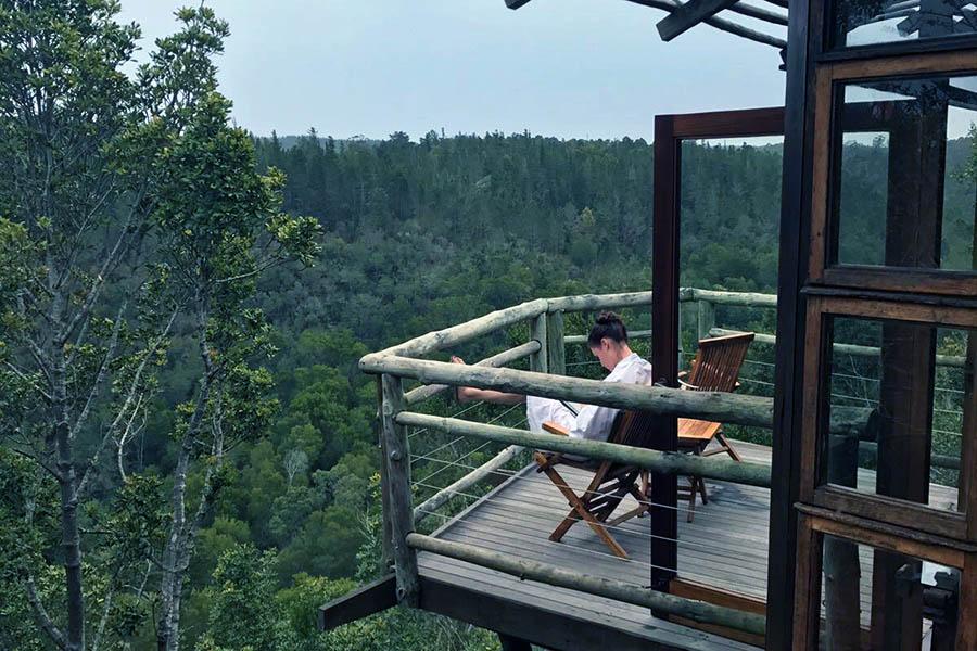 Tsala Treetops Lodge feels a million miles from civilisation