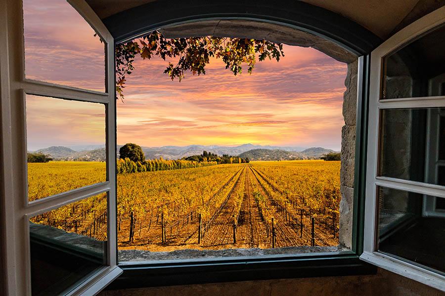 Visit the Napa Valley in autumn | Travel Nation