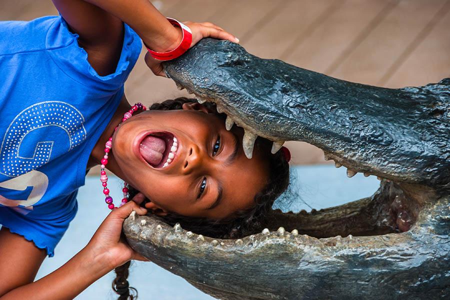 Learn about alligators in the Florida Everglades | Travel Nation