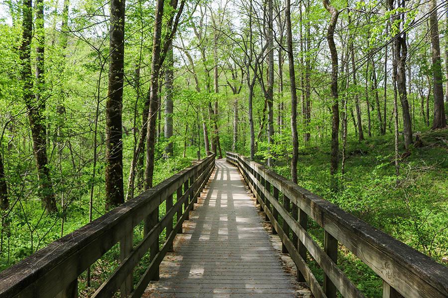 Hiking trails in Mammoth Caves National Park, Kentucky | Travel Nation