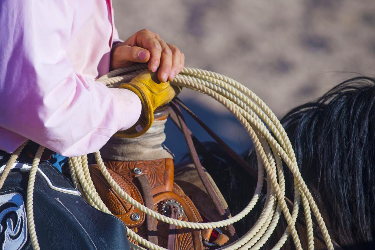 Saddle up for a taste of life on a Montana ranch | Travel Nation