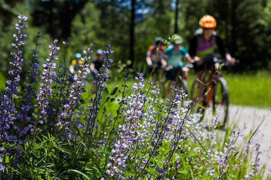 Cycle through the mountains of Montana | Travel Nation