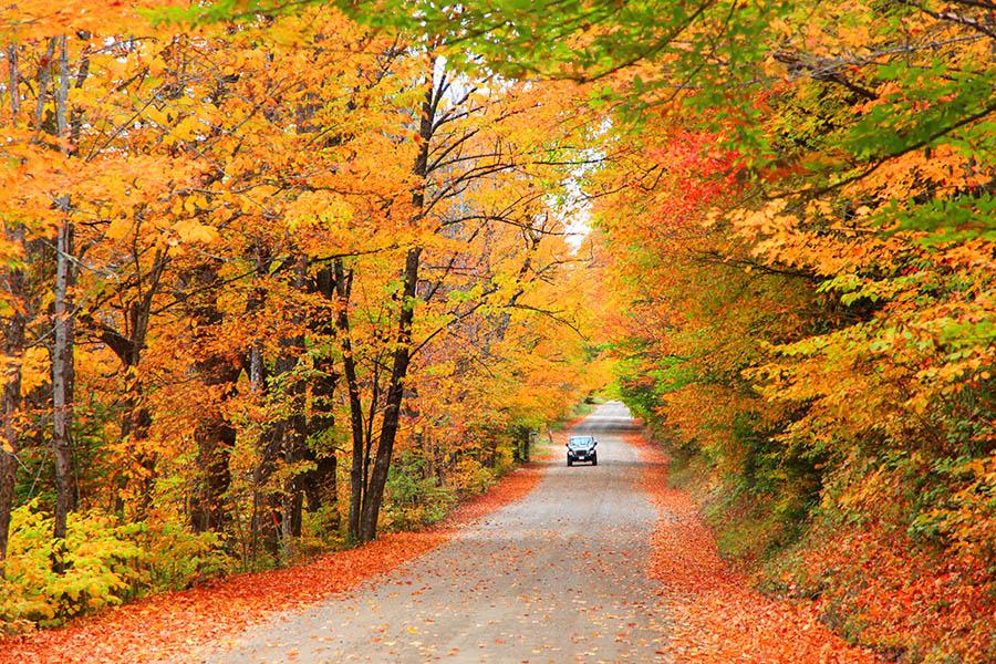 Enjoy scenic drives through New Hampshire