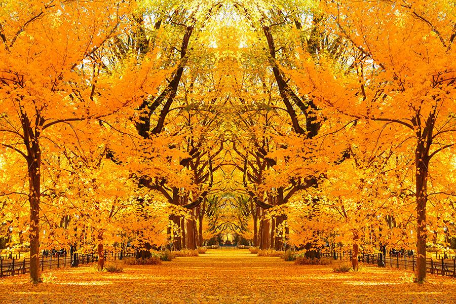 Central Park in late September | Travel Nation