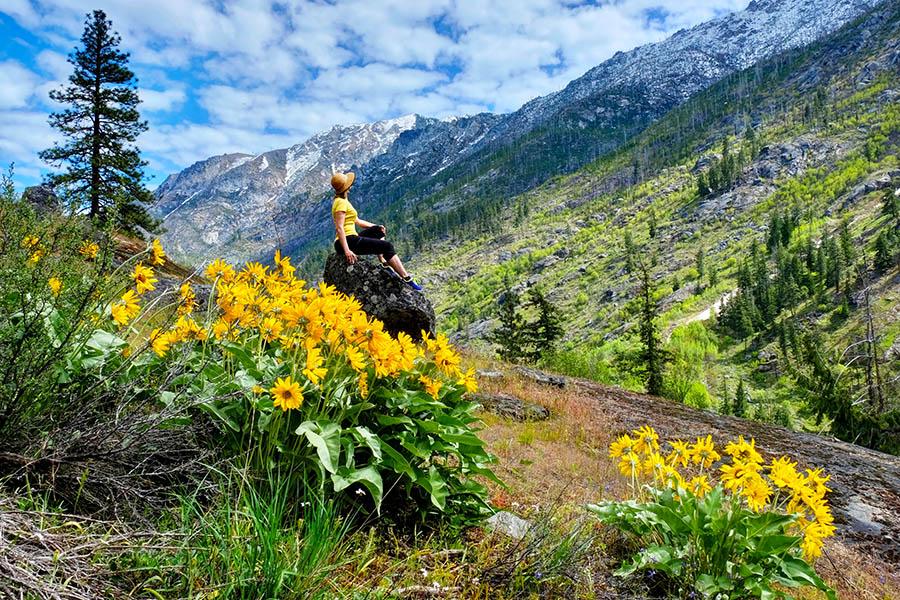 Hiking trail near Portland