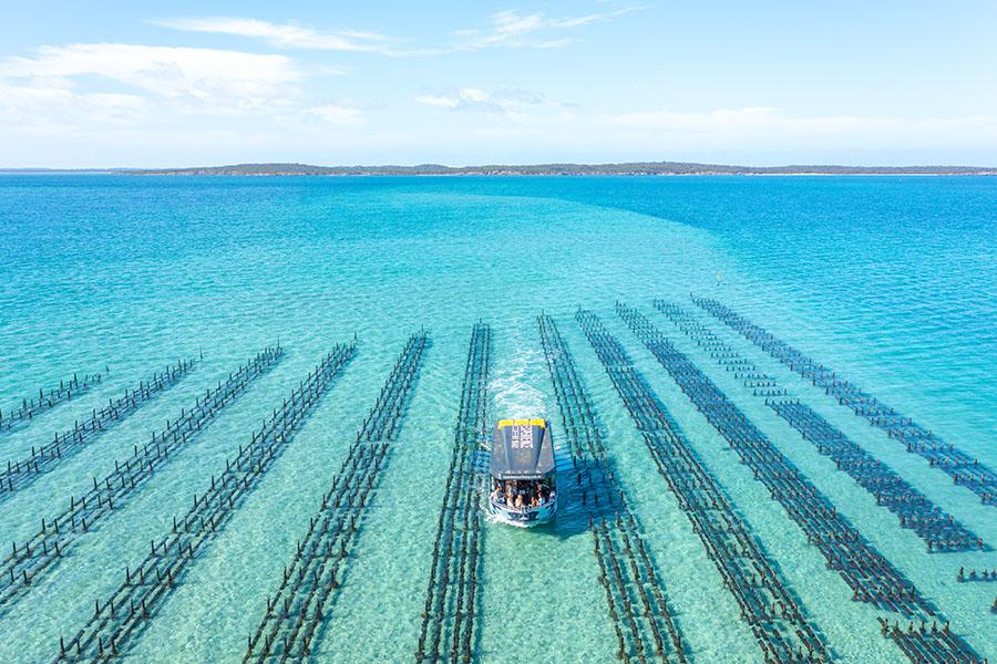 Tuck into fresh oysters from beautiful Coffin Bay | Photo credit: South Australia Tourism