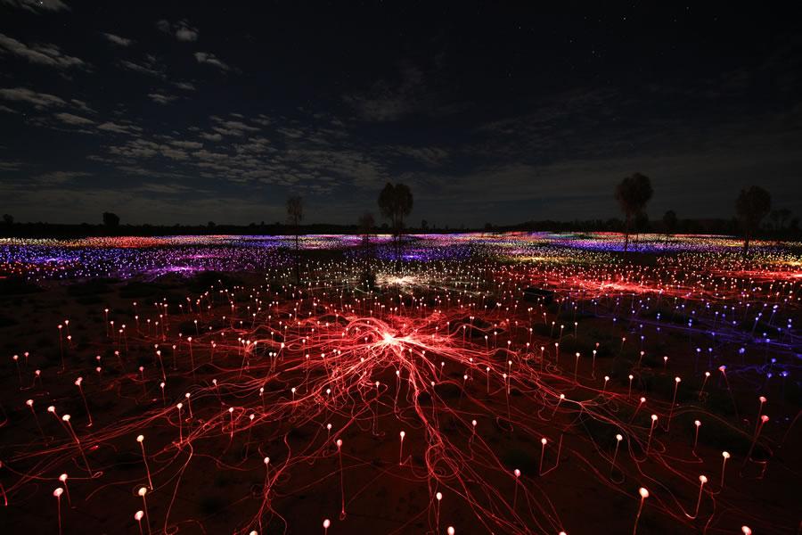 Uluru Field of Light, NT