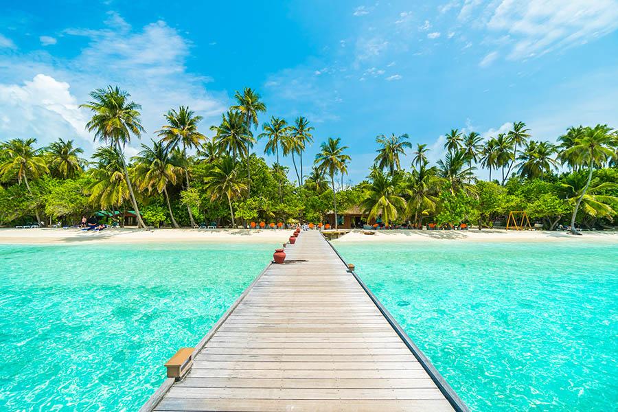 Explore the Maldives' pretty beaches | Travel Nation