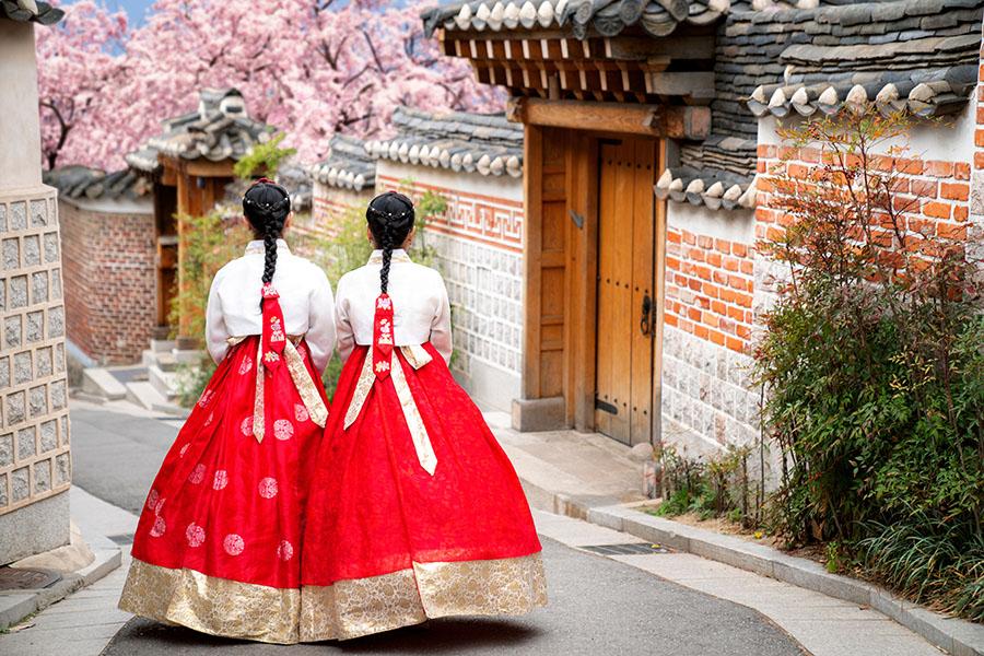 Explore the unique streets of Seoul in South Korea | Travel Nation