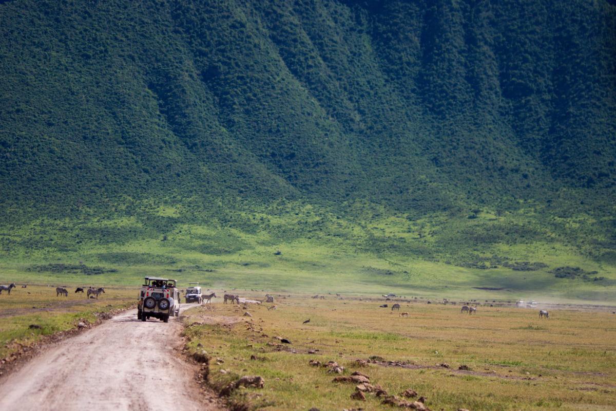 Safari in Ngorongoro Crater, Tanzania