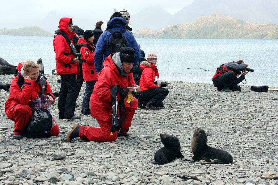 Antarctica is a nature photographer's paradise!