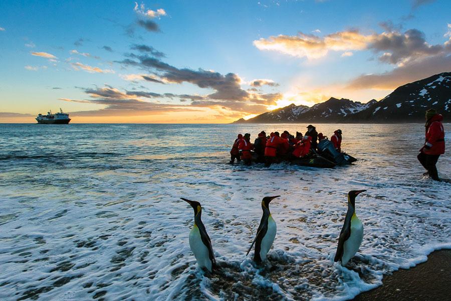 Cruise aboard sturdy Zodiac landing craft