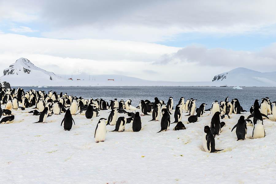 Touch down on the South Shetland Islands