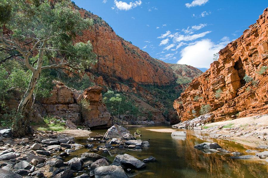 Spend the day in the Macdonnell Ranges and Ormiston Gorge