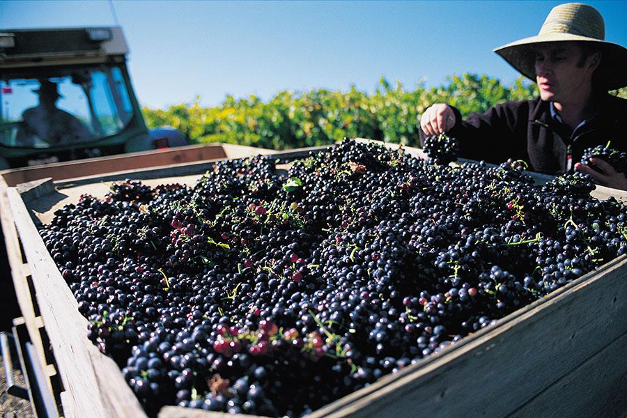 Travel is a great way to improve your CV