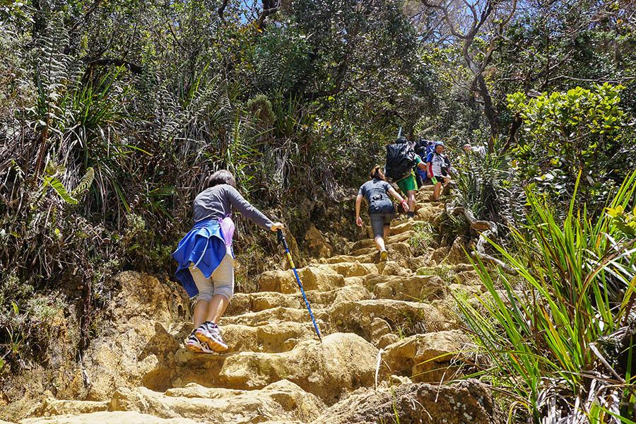 The best approach is slow and steady