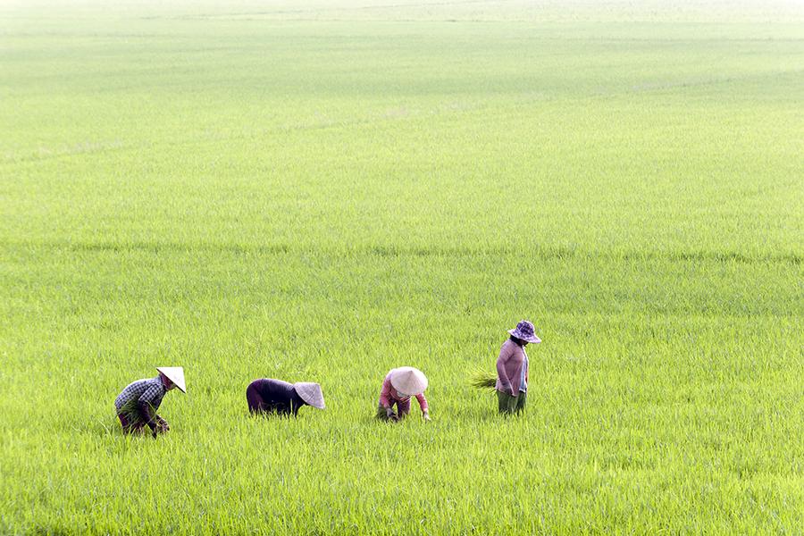 Drive through the Vietnamese countryside 