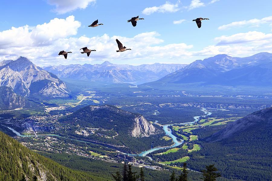 Banff National Park, Alberta, Canada