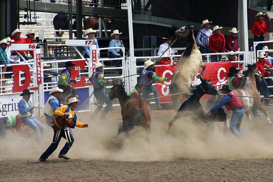 Chris and Debs just missed out on seeing the world famous Calgary Stampede