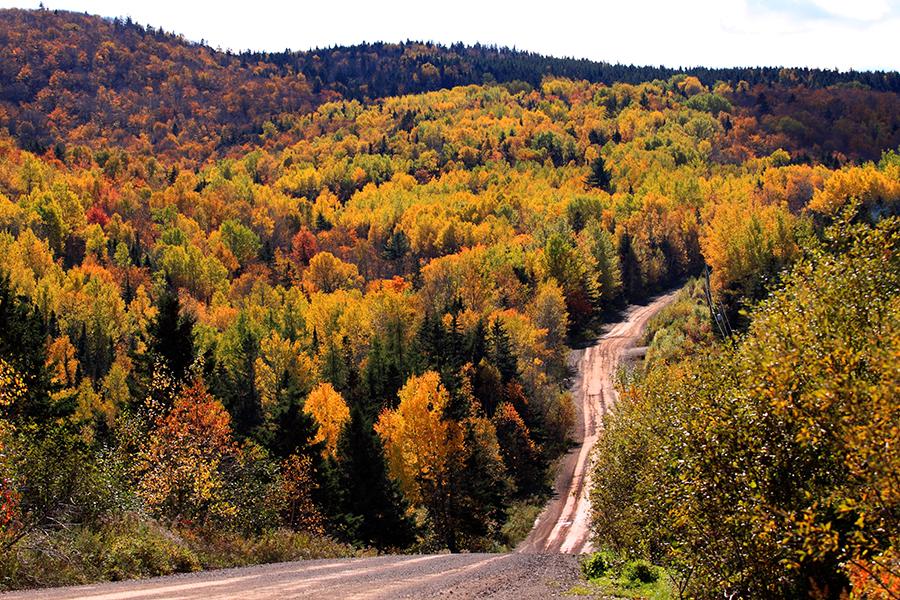 The wooded hills of New Brunswick marked the final part of the journey