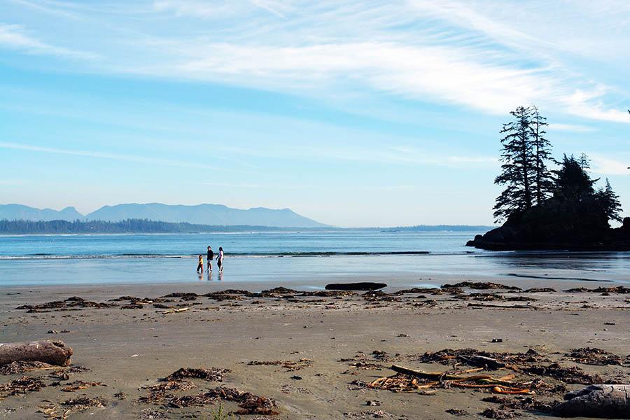 Wander along the beaches of Tofino