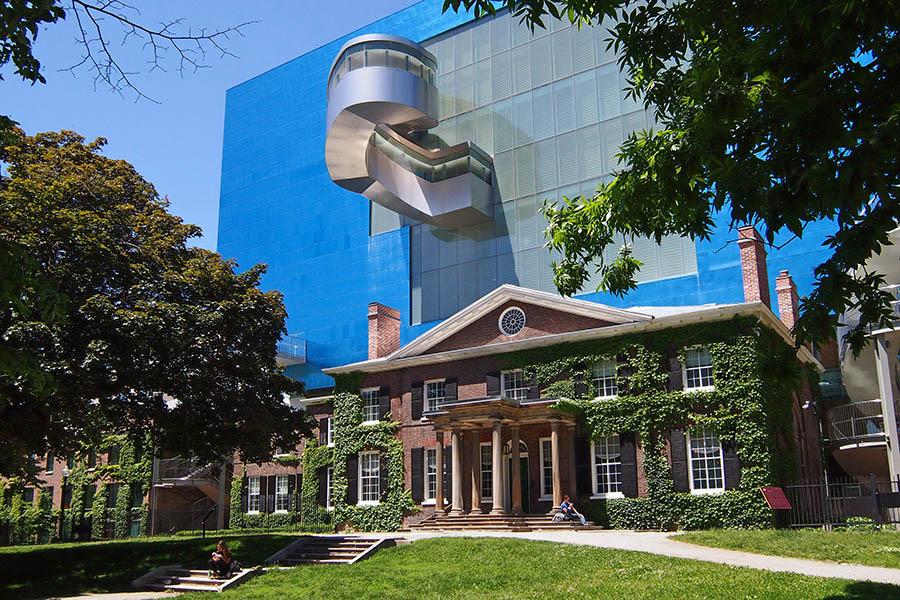 The Art Gallery of Ontario features one of the largest Inuit art collections 