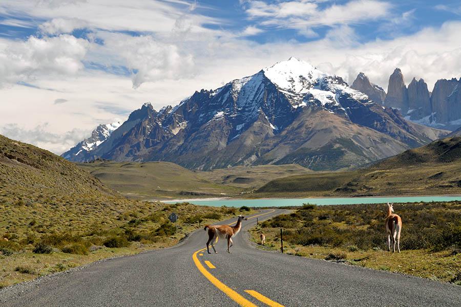 Sit back and enjoy the beautiful scenery