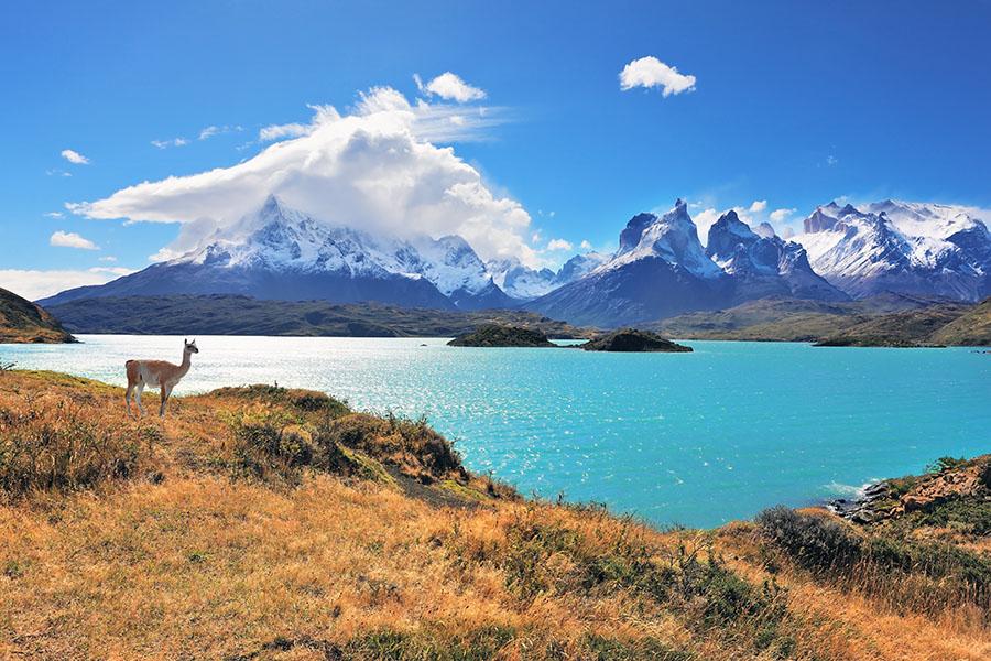 Trek through Chile's spectacular Torres del Paine national park