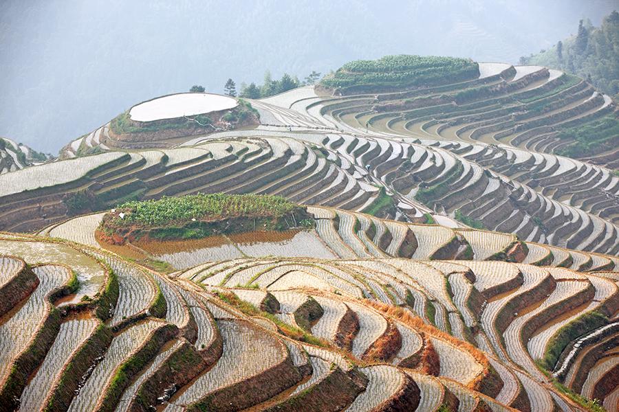 ‘Dragons Backbone’ (Longji), one of the most beautiful stretches of rice terraces in the country. 