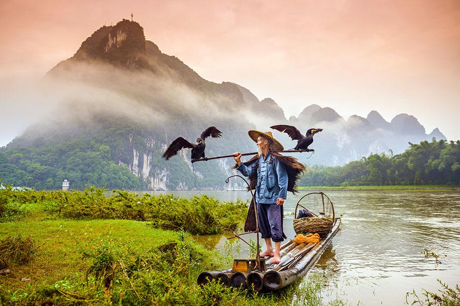 Watch the cormorant fishermen in Yangshuo