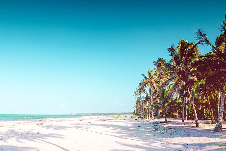 Palomino is a peaceful place to soak up the sun