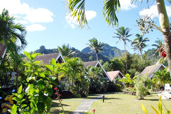 Palm Grove, Rarotonga, Cook Islands