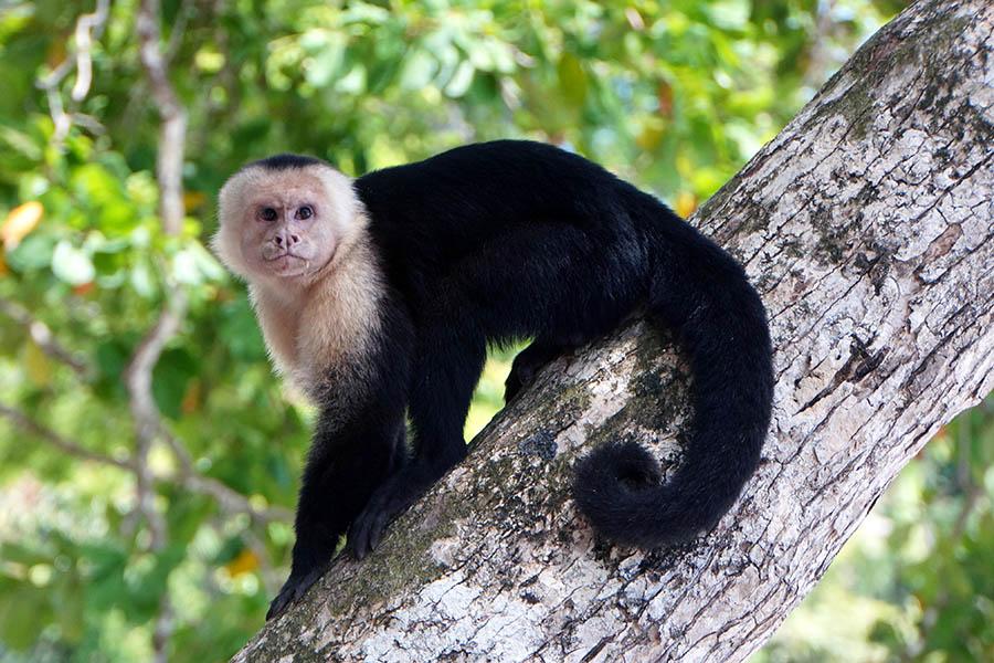 Head off in search of abundant wildlife