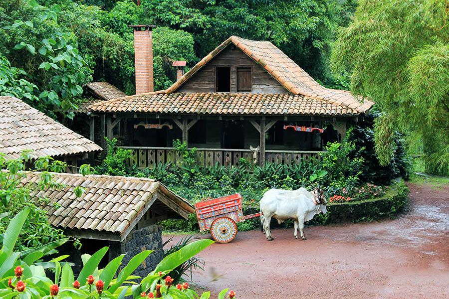 Stop at Sarchi, the country’s most famous crafts and souvenirs town