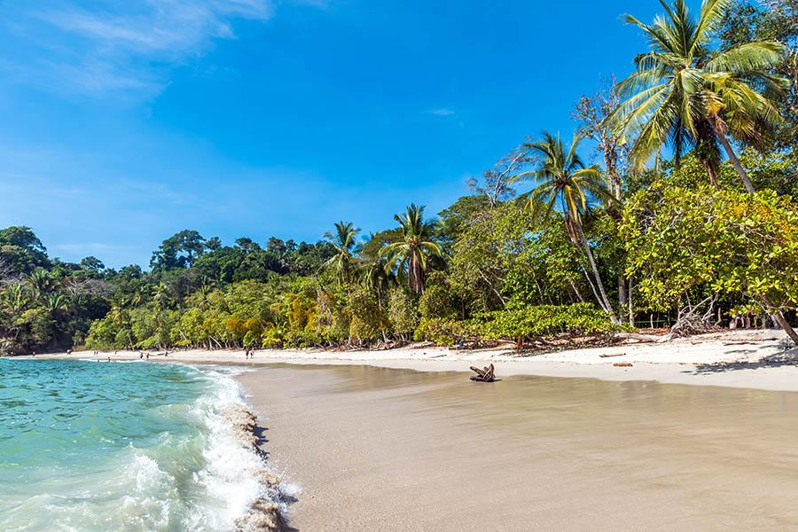 Head to the pristine beaches of Manuel Antonio National Park