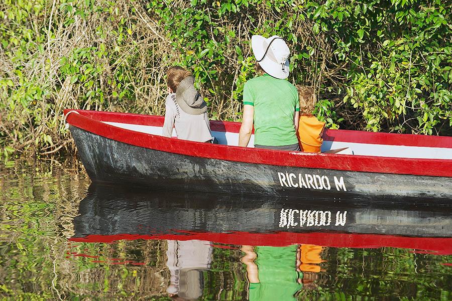 Spot local wildlife as you travel through the waterways of Tortuguero National Park 