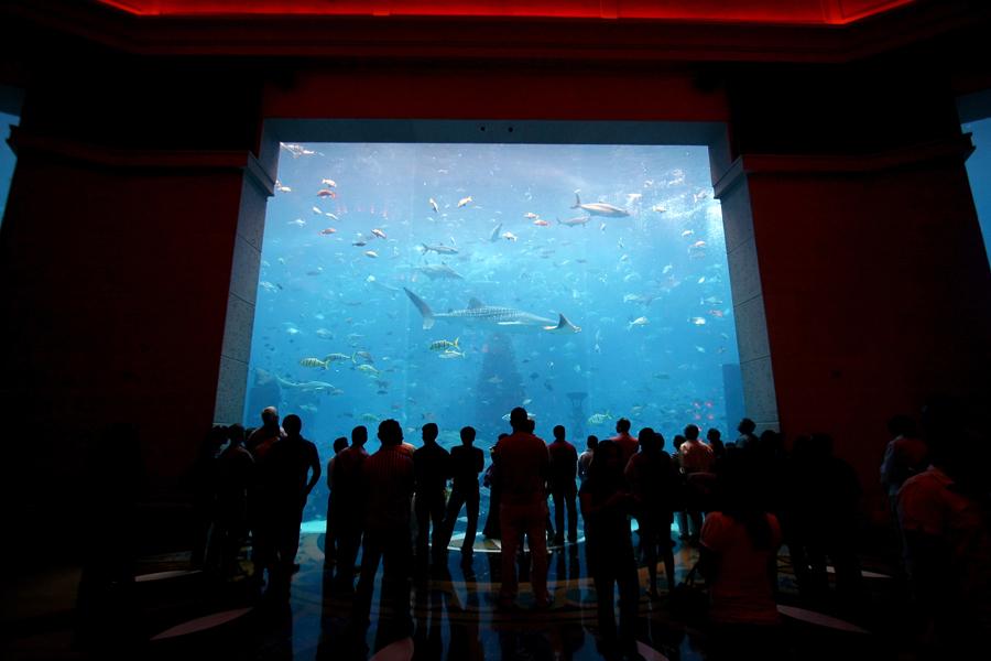 Dubai aquarium