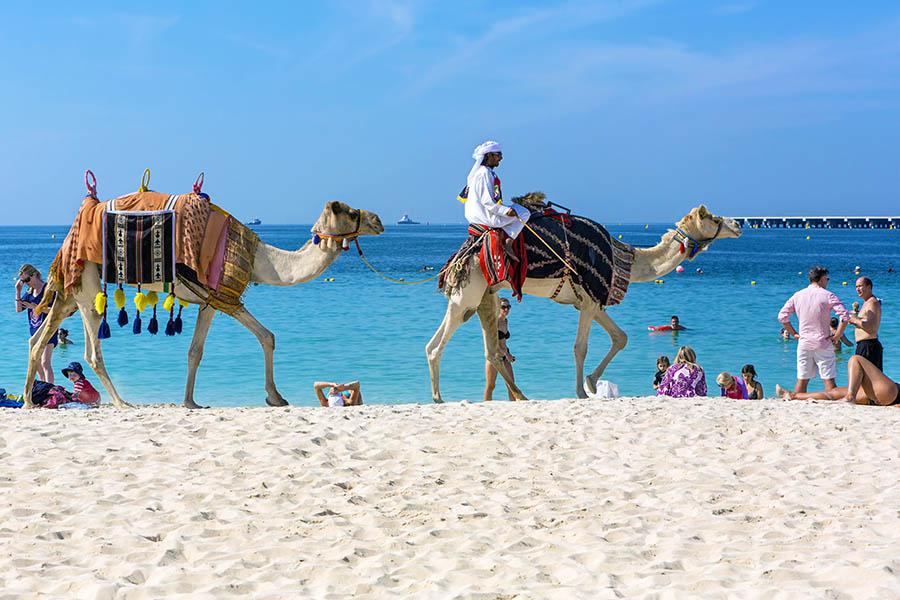 It's a bit different to Blackpool donkey rides!