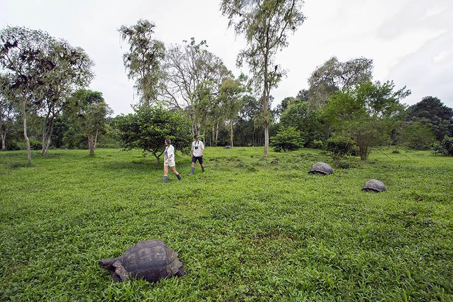 Enjoy some unforgettable encounters with their remarkable wildlife 