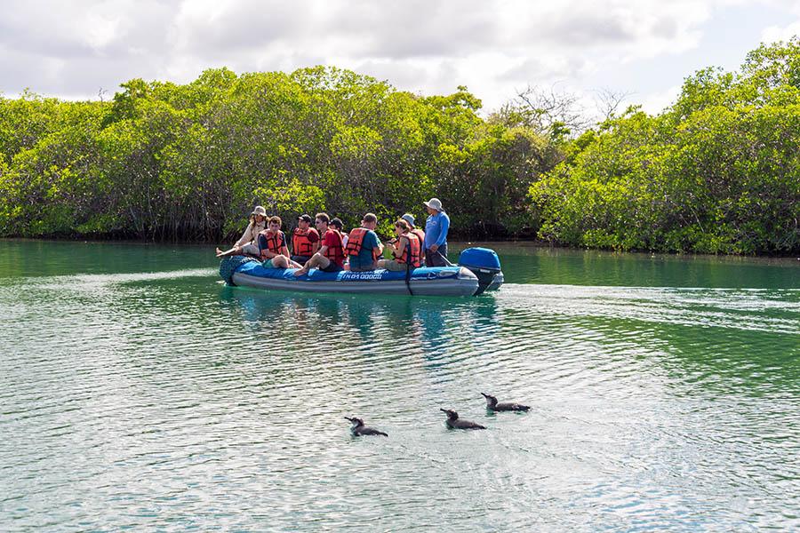Be educated about the history and wildlife of each island