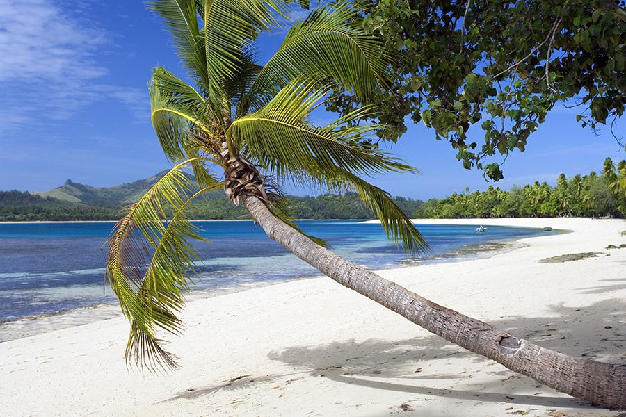 Find yourself a quiet corner and relax...