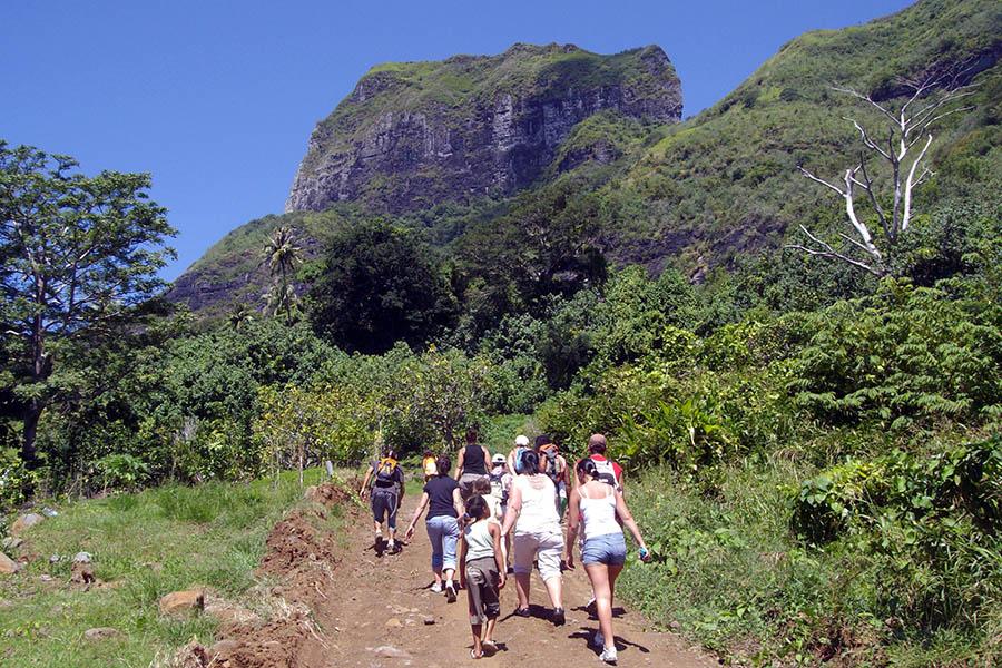 You could join a guided walk if you're feeling active