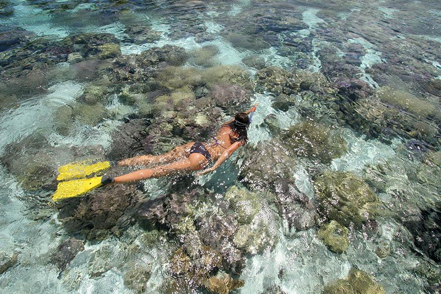 It's a perfect spot to snorkel