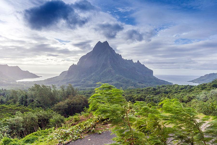 Take a stroll in the rugged interior of Rangiroa